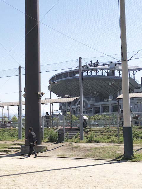 近くには我が聖地「坊っちゃんスタジアム」が見えます