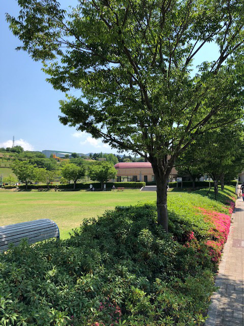 入り口付近には芝生公園も