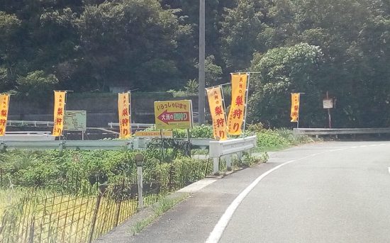 梨園登り口
