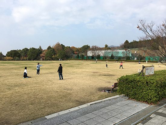芝生広場は沢山の家族が楽しんでいます。