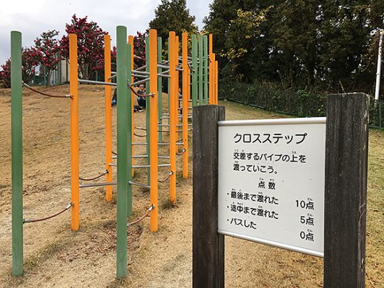 最初はこのアスレチックから。