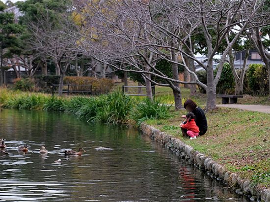 写真4_1