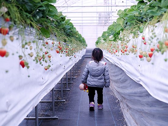 子どもは隠れちゃうので、迷子にならないように注意!