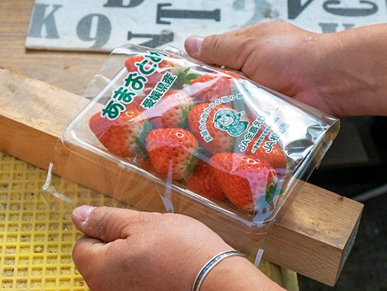 プロが使用するパックとセロファンで丁寧に梱包