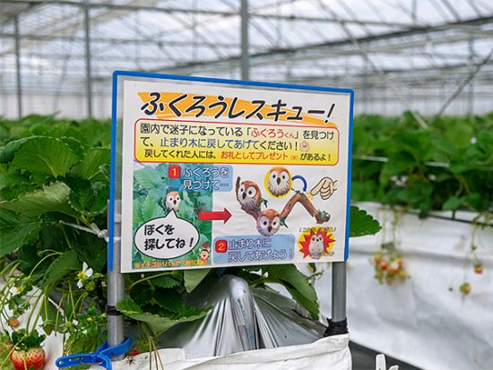 ふくろうレスキューの案内表示。ミミズクに注意!