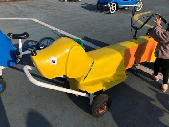 動物の乗り物は大人気でした
