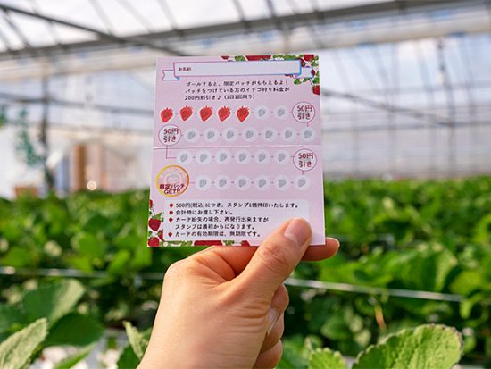 ポイントカード。所々にあるミニ値引きも嬉しい