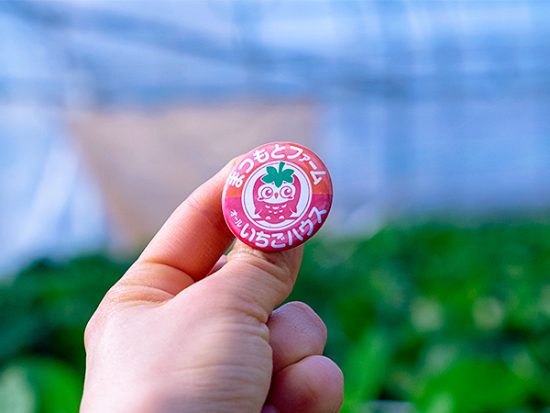 伝説のふくろう缶バッチ(非売品)