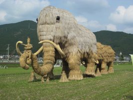 第43回宇和れんげまつり