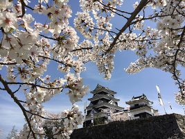 春のおでかけは大洲城へ!